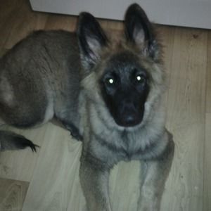 Meet your Posher, Rhonda